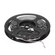 Double Rows Flexible Non-waterproof SMD5050 RGB+WW 5M 600LED Strip Light for Indoor Living Room Home Decoration DC12V Double Rows Flexible Non-waterproof SMD5050 RGB+WW 5M 600LED Strip Light for Indoor Living Room Home Decoration DC12V