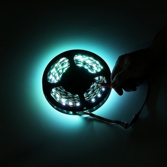 Double Rows Flexible Non-waterproof SMD5050 RGB+WW 5M 600LED Strip Light for Indoor Living Room Home Decoration DC12V Double Rows Flexible Non-waterproof SMD5050 RGB+WW 5M 600LED Strip Light for Indoor Living Room Home Decoration DC12V