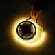 Double Rows Flexible Non-waterproof SMD5050 RGB+WW 5M 600LED Strip Light for Indoor Living Room Home Decoration DC12V