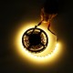 Double Rows Flexible Non-waterproof SMD5050 RGB+WW 5M 600LED Strip Light for Indoor Living Room Home Decoration DC12V Double Rows Flexible Non-waterproof SMD5050 RGB+WW 5M 600LED Strip Light for Indoor Living Room Home Decoration DC12V