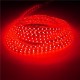 Waterproof IP67 10M 600SMD 5050 Red/Blue/Green/Warm White/White/RGB LED Light Strip 220V