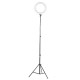 170cm 1.7M Foldable Video Ring Light Flash Light Holder Stand Tripod for Youtube Tik Tok Live Streaming