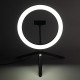 10 Inch Dimmable LED Selfie Video Ring Light with Tripod Stand Phone Holder for Youtube Tik Tok Live Streaming Makeup