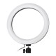 10.3 inch RGBW Full Color LED Ring Light Mackup Fill Light for Photography Selfie Vlog Camera Photo 200 LED Lamp Beads 10.3 inch RGBW Full Color LED Ring Light Mackup Fill Light for Photography Selfie Vlog Camera Photo 200 LED Lamp Beads