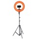 12 Inch Dimmable LED Video Ring Light with Diffuser Tripod Stand Holder for Youtube Tik Tok Live Streaming