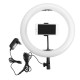 16CM 20CM 26CM 36CM 48CM Dimmable Video Ring Light with Tripod Head Cold Shoe Mount Phone Clip for Youtube TikTok Live Streaming