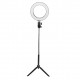 16cm 20cm 26cm 3500-5500k Photography Dimmable LED Selfie Ring Light Photo Studio Lamp With Phone Holder USB Plug For Video Live Blogger Photograph TikTok 16cm 20cm 26cm 3500-5500k Photography Dimmable LED Selfie Ring Light Photo Studio Lamp With Phone Holder USB Plug For Video Live Blogger Photograph TikTok