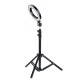 16cm 3200K-5500K Dimmable LED Fill Light Photography Ring Light for Video Live Blogger Photography Tiktok 16cm 3200K-5500K Dimmable LED Fill Light Photography Ring Light for Video Live Blogger Photography Tiktok