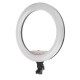 17.7 inch Selfie LED Ring Light for Youtube Tiktok Live Broadcast 3 Modes 10 Brightness Dimmable Mackup Fill Light for Mobile Phone Camera Photography