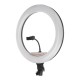 17.7 inch Selfie LED Ring Light for Youtube Tiktok Live Broadcast 3 Modes 10 Brightness Dimmable Mackup Fill Light for Mobile Phone Camera Photography 17.7 inch Selfie LED Ring Light for Youtube Tiktok Live Broadcast 3 Modes 10 Brightness Dimmable Mackup Fill Light for Mobile Phone Camera Photography