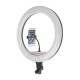 17.7 inch Selfie LED Ring Light for Youtube Tiktok Live Broadcast 3 Modes 10 Brightness Dimmable Mackup Fill Light for Mobile Phone Camera Photography 17.7 inch Selfie LED Ring Light for Youtube Tiktok Live Broadcast 3 Modes 10 Brightness Dimmable Mackup Fill Light for Mobile Phone Camera Photography