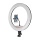 17.7 inch Selfie LED Ring Light for Youtube Tiktok Live Broadcast 3 Modes 10 Brightness Dimmable Mackup Fill Light for Mobile Phone Camera Photography