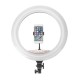 17.7 inch Selfie LED Ring Light for Youtube Tiktok Live Broadcast 3 Modes 10 Brightness Dimmable Mackup Fill Light for Mobile Phone Camera Photography 17.7 inch Selfie LED Ring Light for Youtube Tiktok Live Broadcast 3 Modes 10 Brightness Dimmable Mackup Fill Light for Mobile Phone Camera Photography