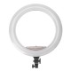 17.7 inch Selfie LED Ring Light for Youtube Tiktok Live Broadcast 3 Modes 10 Brightness Dimmable Mackup Fill Light for Mobile Phone Camera Photography