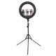 18 inch LED Ring Light 3 Phone Clip Dimmable Fill Light with 210cm Tripod Stand Remote Control for Youtube Tiktok Live Broadcast 18 inch LED Ring Light 3 Phone Clip Dimmable Fill Light with 210cm Tripod Stand Remote Control for Youtube Tiktok Live Broadcast