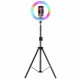 20/26/33cm RGBW LED Ring Light with 170cm Tripod Fill Light Dimmable Large Ring Light with Filters Tripod Stand for Youtube TikTok Live Broadcast