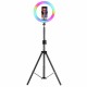 20/26/33cm RGBW LED Ring Light with 170cm Tripod Fill Light Dimmable Large Ring Light with Filters Tripod Stand for Youtube TikTok Live Broadcast 20/26/33cm RGBW LED Ring Light with 170cm Tripod Fill Light Dimmable Large Ring Light with Filters Tripod Stand for Youtube TikTok Live Broadcast