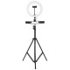 26cm LED Ring Light 3 Color 10 Brightness Dimmable Fill Light with Tripod Stand Dual Phone Clip for Youtube Live Stream Tiktok Broadcast