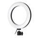 7.9 inch RGBW Full Color LED Ring Light Photography Selfie Mackup Fill Light for Youtube Live Broadcast Mobile Phone Camera Photo