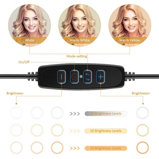 8 inch LED Ring Light with Tripod Stand&Phone Holder Moreslan Dimmable Selfie Ring Light LED Camera Ringlight for YouTube with Phone Xs Max XR Android 8 inch LED Ring Light with Tripod Stand&Phone Holder Moreslan Dimmable Selfie Ring Light LED Camera Ringlight for YouTube with Phone Xs Max XR Android