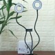 Flexible 9cm USB Charging 3 Color LED Ring Light Live Broadcast Selfie Fill Light with Mobile Phone Holder Flexible 9cm USB Charging 3 Color LED Ring Light Live Broadcast Selfie Fill Light with Mobile Phone Holder