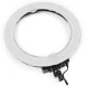 RL-18B 240 LEDs 3200K-5600K Dimmable Adjustable Rechargeable Video Ring Light for Youtube Tiktok Live Streaming DSLR SLR Camera