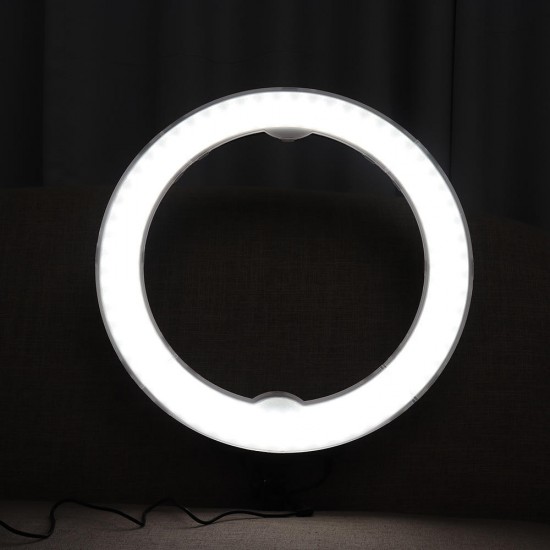 RL-18BK 240 LEDs 3200K-5600K Adjustable Rechargeable Video Ring Light for Youtube Tiktok Live Streaming DSLR SLR Camera RL-18BK 240 LEDs 3200K-5600K Adjustable Rechargeable Video Ring Light for Youtube Tiktok Live Streaming DSLR SLR Camera
