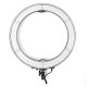 RL-18BK 240 LEDs 3200K-5600K Adjustable Rechargeable Video Ring Light for Youtube Tiktok Live Streaming DSLR SLR Camera RL-18BK 240 LEDs 3200K-5600K Adjustable Rechargeable Video Ring Light for Youtube Tiktok Live Streaming DSLR SLR Camera