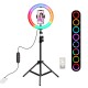 PK3081B 26cm Marquee RGBWW LED Ring Light 168 LED Dual-color Temperature Dimmable Vlogging Photography Video Ring Lights PK3081B 26cm Marquee RGBWW LED Ring Light 168 LED Dual-color Temperature Dimmable Vlogging Photography Video Ring Lights