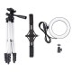 PKT3034 6.2 Inch USB Video Ring Light with Tripod Light Stand Dual Phone Clip for Tik Tok Youtube Live Streaming