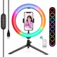 PKT3082B 26cm Marquee RGBWW LED Ring Light 168 LED Dual-color Dimmable Video Lights for Youtube Tiktok Live Broadcast Selfie Photography