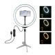 PU397 10 Inch 3200K-6500K Dimmable LED Video Ring Light with Phone Clip for Selfie Vlog Tik Tok Youtube Live Streaming