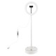 PU480 10 Inch 3200-5600K Dimmable USB LED Video Ring Light with Round Base Bracket Phone Clip