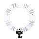 16 Inch 18 Inch 2700-5500K LED Ring Video Light/Foldable Light Stand for Youtube Tik Tok Live Streaming 16 Inch 18 Inch 2700-5500K LED Ring Video Light/Foldable Light Stand for Youtube Tik Tok Live Streaming