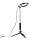 Dimmable 3500-5500k Selfie Studio Live Video Ring Light With Phone Holder for Youtube Tiktok Live Streaming Dimmable 3500-5500k Selfie Studio Live Video Ring Light With Phone Holder for Youtube Tiktok Live Streaming