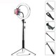 Selfie Stick 5500K Dimmable Video Light 26cm LED Ring Lamp with Phone Holder bluetooth Shutter Wrench for Youtube Tik Tok Live Streaming Selfie Stick 5500K Dimmable Video Light 26cm LED Ring Lamp with Phone Holder bluetooth Shutter Wrench for Youtube Tik Tok Live Streaming