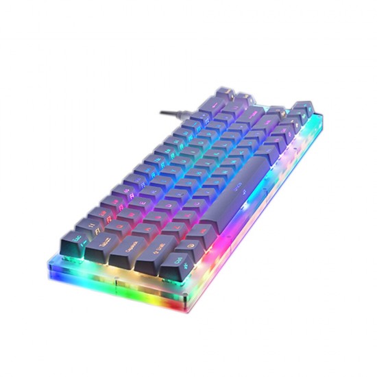 K66 66 Keys Mechanical Gaming Keyboard Tyce-C WiredRGB Backlit Gateron Switch Keyboard with Crystalline Base White Keycaps for PC Laptop