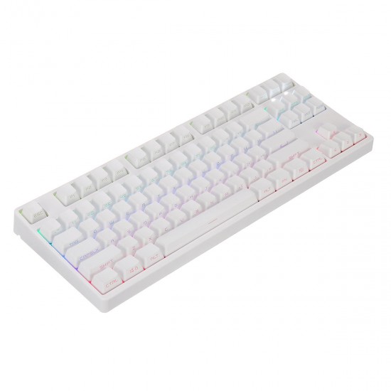 PLUS2 87 Key USB Wired RGB Backlit Gateron Switch PBT Double Shot Keycaps Mechanical Gaming Keyboard for E-sport office PC Laptop