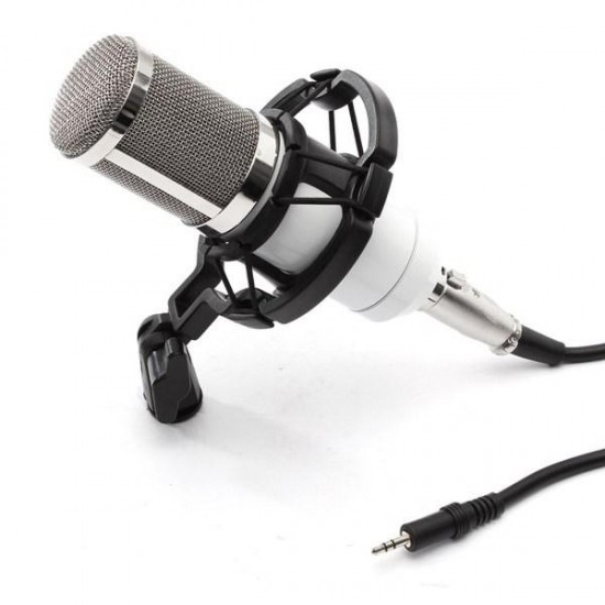 BM800 Recording Dynamic Condenser Microphone with Shock Mount