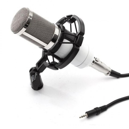 BM800 Recording Dynamic Condenser Microphone with Shock Mount BM800 Recording Dynamic Condenser Microphone with Shock Mount
