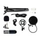 BM800 Condenser Microphone Mic Sound Recording Studio Kits with Shock Mount BM800 Condenser Microphone Mic Sound Recording Studio Kits with Shock Mount