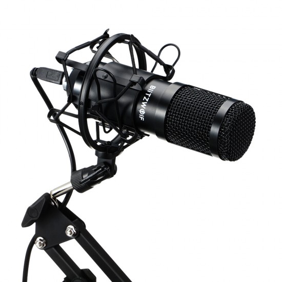 BW-CM2 Condenser Microphone USB Microphone Audio Dynamic System Kit Cantilever Bracket Anti-spray Net Set Sound Recording Vocal Microphone