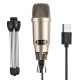 Professional 30Hz-20KHz Dynamic Cardioid Capacitive USB Wired Microphone Mic with Desktop Tripod for Stage Karaoke Public Speaking