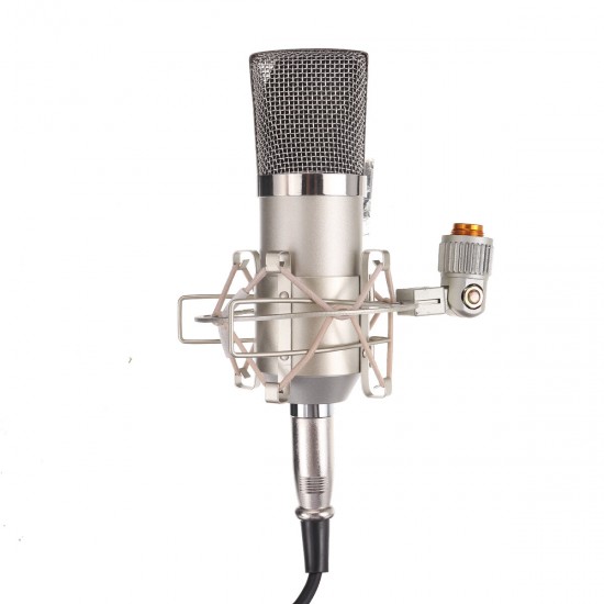 Professional BM700 Condenser Microphone Studio Wired Computer Mic KTV Singing Studio Recording Kit with Microphone Filter