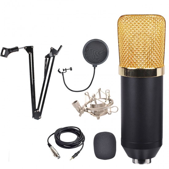 Professional BM700 Condenser Microphone Studio Wired Computer Mic KTV Singing Studio Recording Kit with Microphone Filter