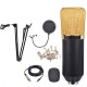 Professional BM700 Condenser Microphone Studio Wired Computer Mic KTV Singing Studio Recording Kit with Microphone Filter