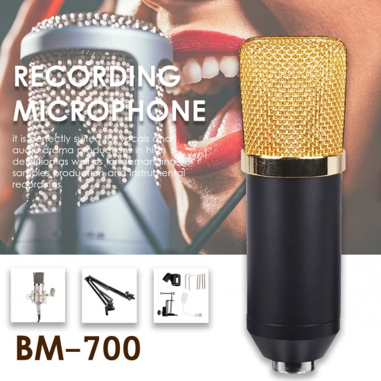 Professional BM700 Condenser Microphone Studio Wired Computer Mic KTV Singing Studio Recording Kit with Microphone Filter