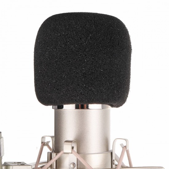 Professional BM700 Condenser Microphone Studio Wired Computer Mic KTV Singing Studio Recording Kit with Microphone Filter