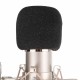 Professional BM700 Condenser Microphone Studio Wired Computer Mic KTV Singing Studio Recording Kit with Microphone Filter