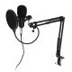 Condenser Microphone Live Broadcast Mic Computer Karaoke Large Diaphragm with Bracket for Youtube
